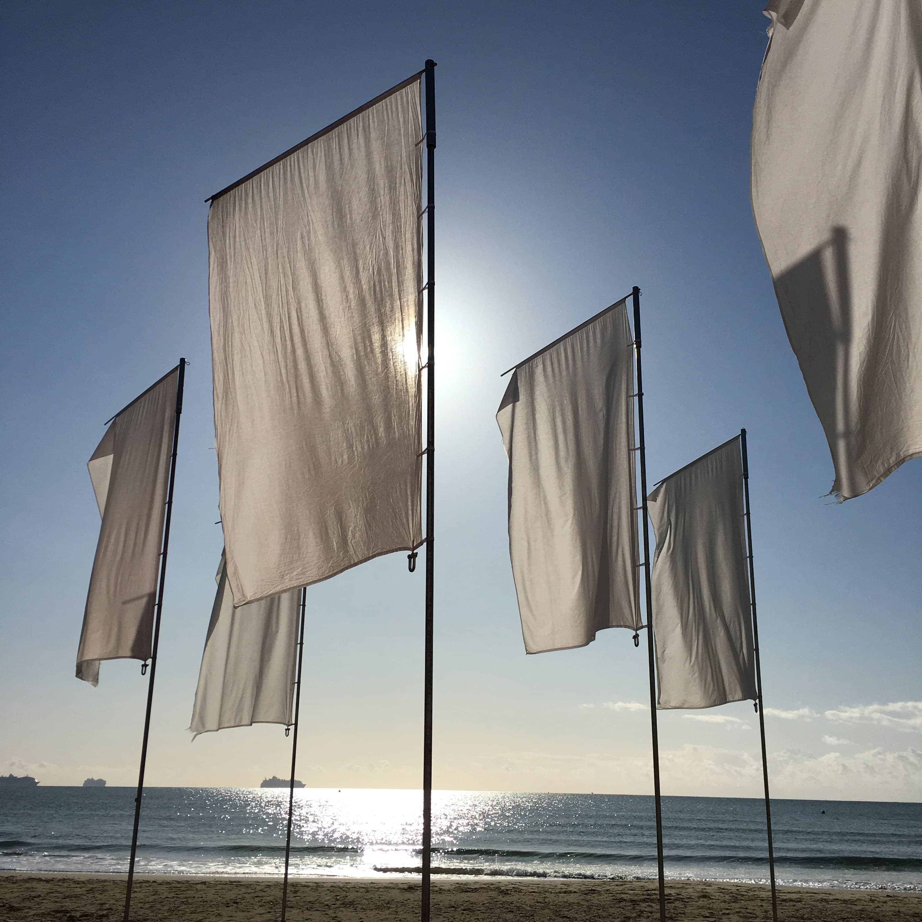  Exploring the Coolest Flags Around the World