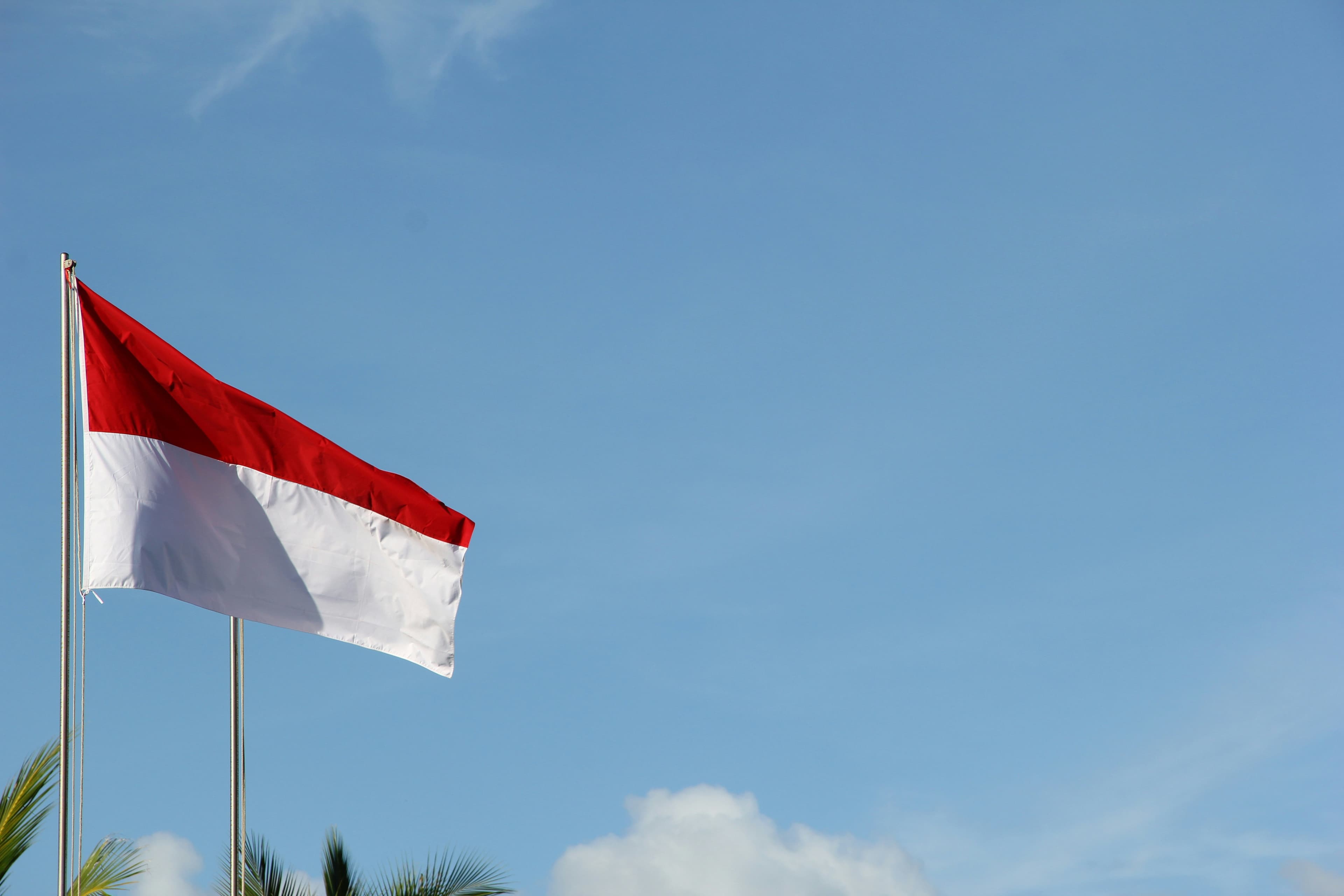  Red and White Flags of the World
